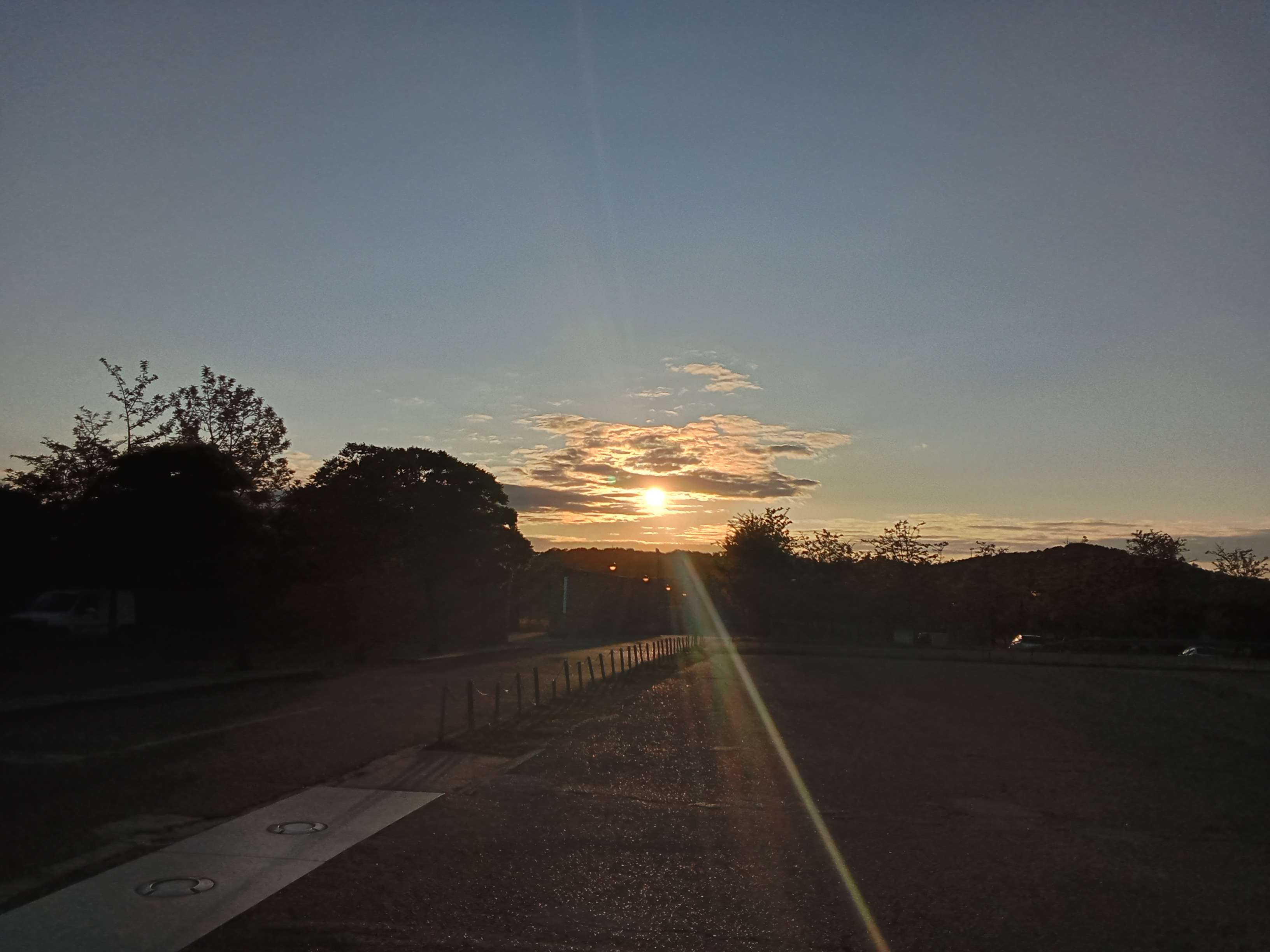 this is the picture where the website icon was taken from :3